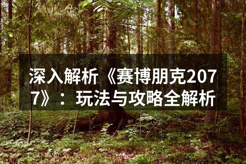赛博朋克2077的壮丽城市风景