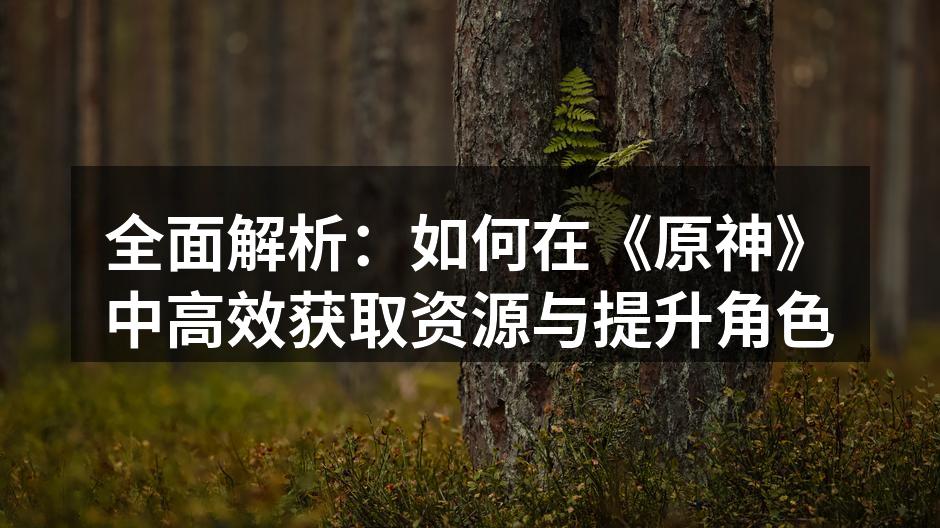 全面解析：如何在《原神》中高效获取资源与提升角色
